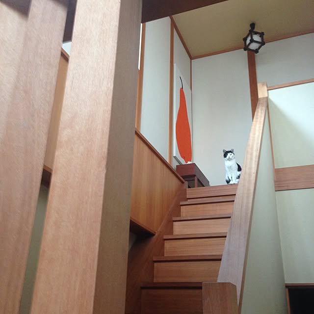 ramさんの実例写真