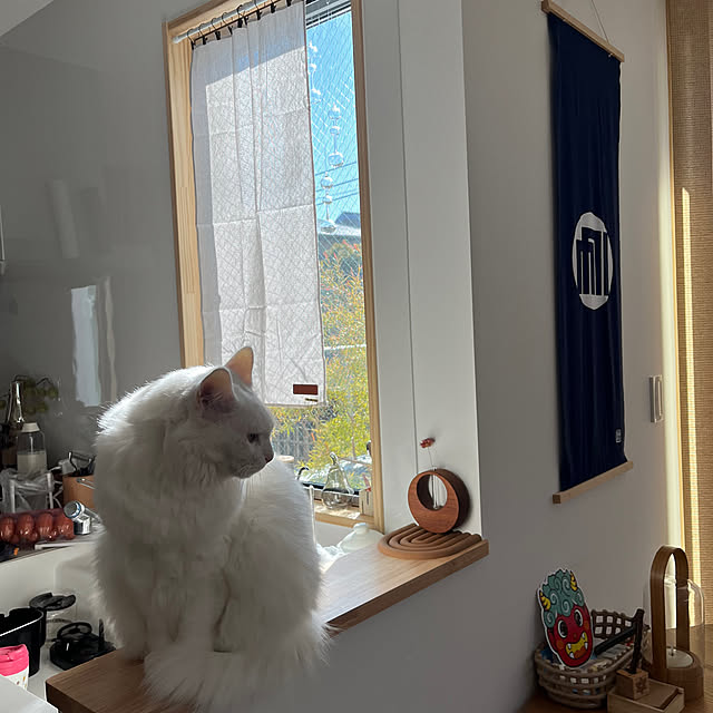 nuffyさんの実例写真