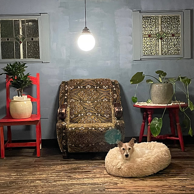joshua.treeさんの実例写真