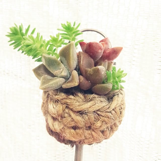 hinaharu0327さんの実例写真