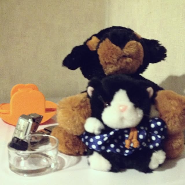 arさんの実例写真
