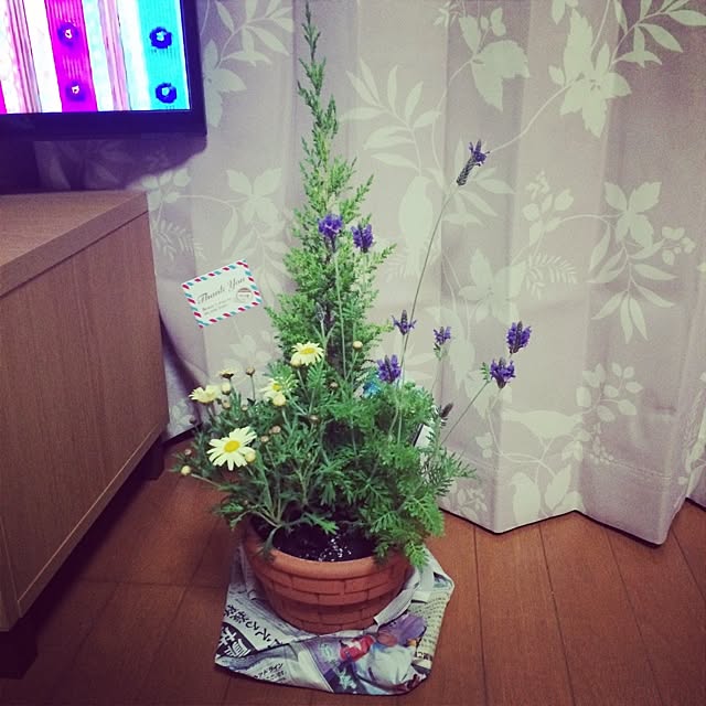 kw72さんの実例写真