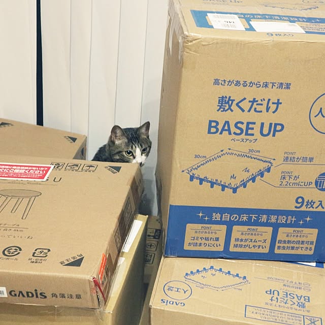 hanacocoさんの実例写真
