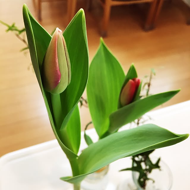 boobieさんの実例写真