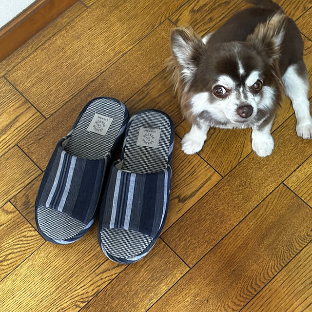 chIoeさんの部屋