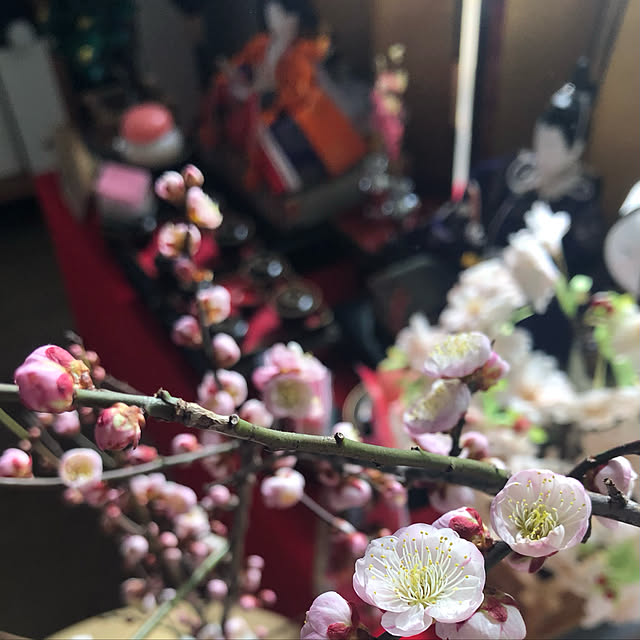 kana-nacchiさんの実例写真