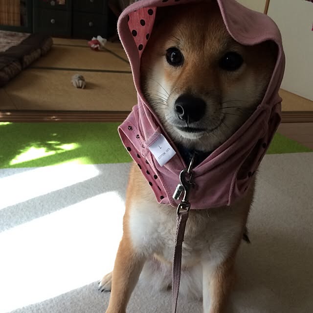 marobokeさんの実例写真