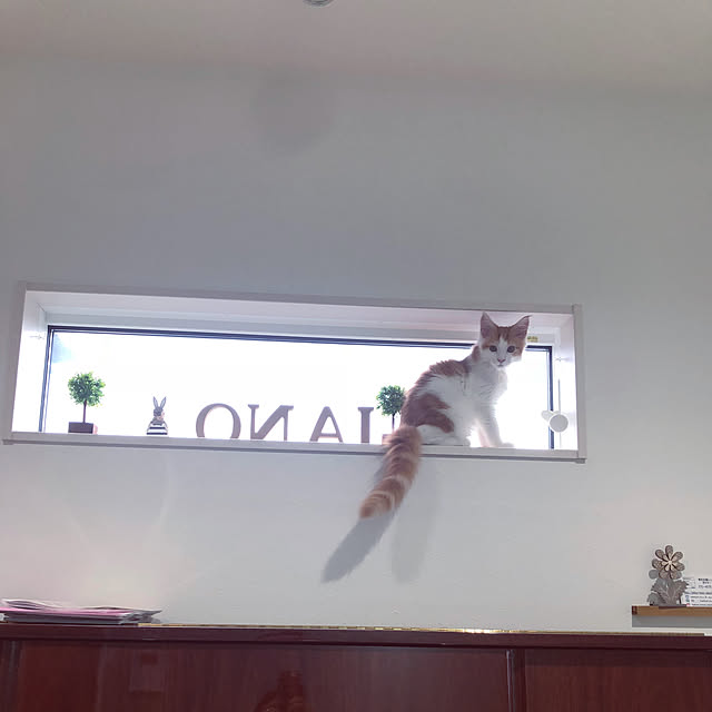 ukoさんの実例写真