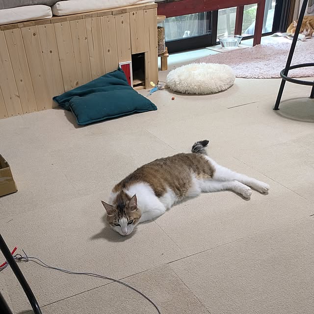 mori_6_12さんの部屋