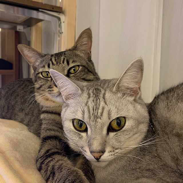 rapiさんの実例写真