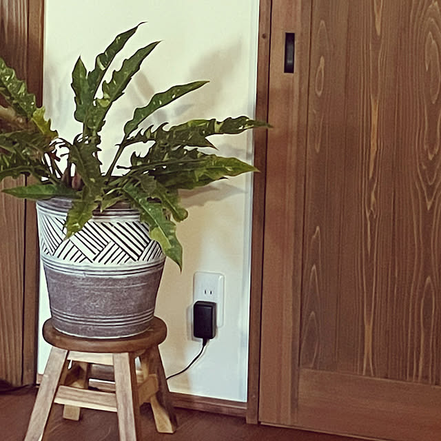 cotaさんの部屋