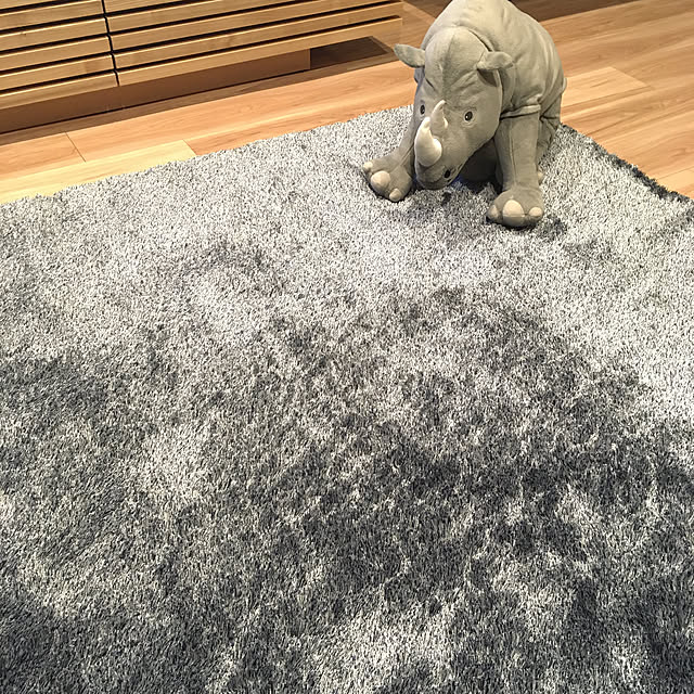 sasatsai61さんの実例写真