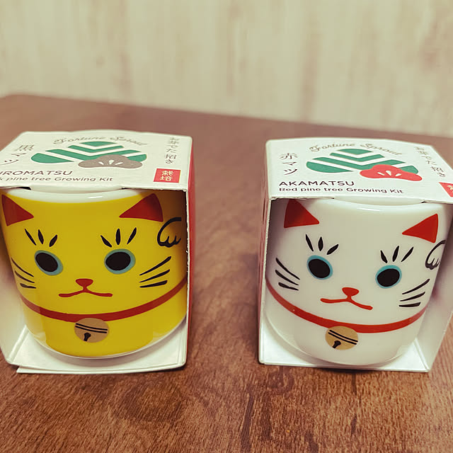 makiさんの実例写真