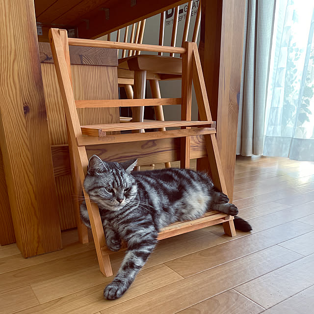 hiyupan88さんの実例写真