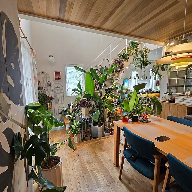 nonbiri_house_さんの部屋
