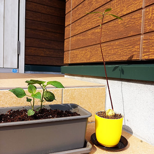 pomeさんの実例写真