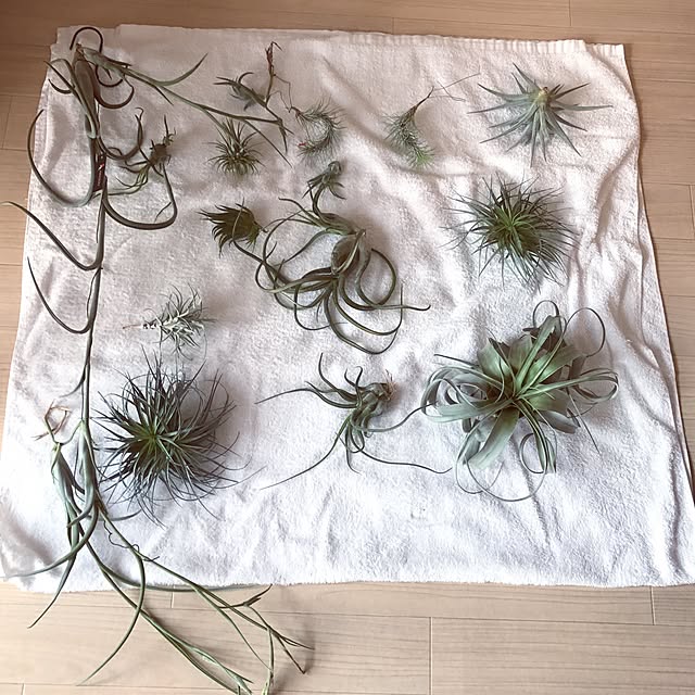 youさんの実例写真