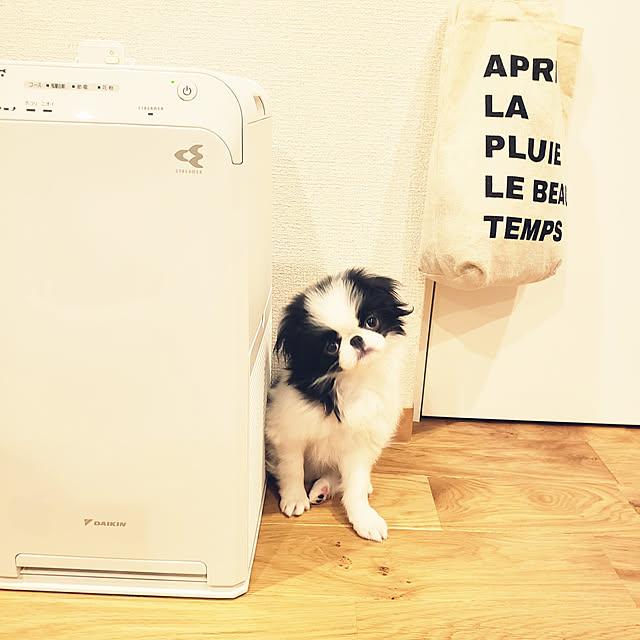 sanoaさんの実例写真