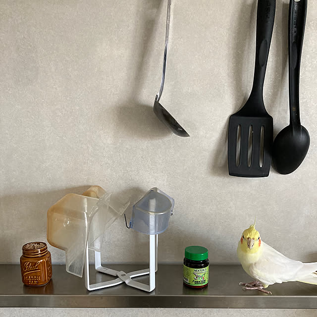 toratanさんの部屋