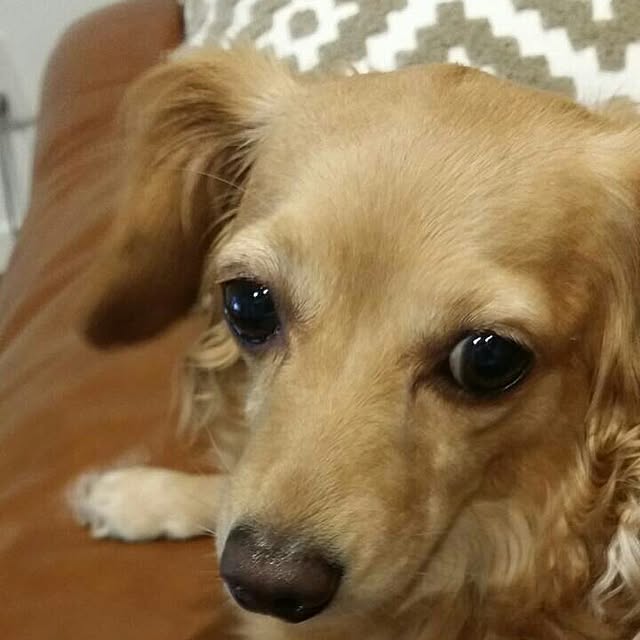 hiromiさんの実例写真