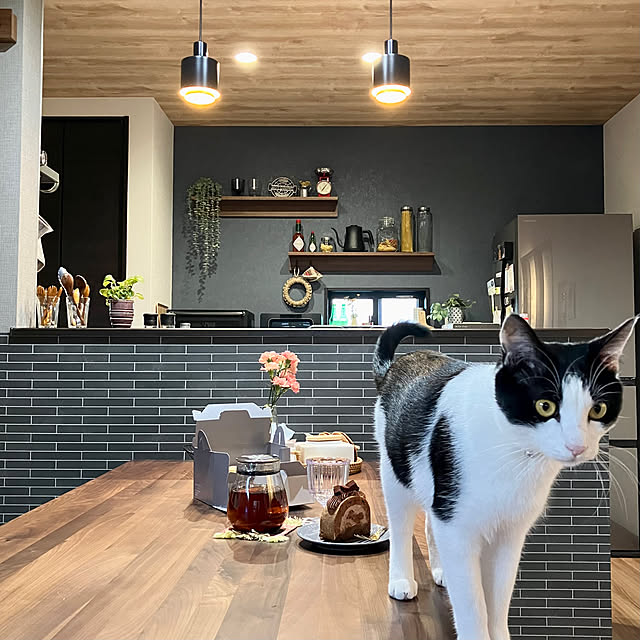 qp_ktbnさんの実例写真