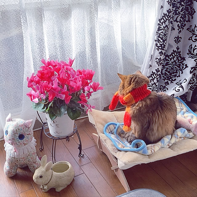 yukarinさんの実例写真