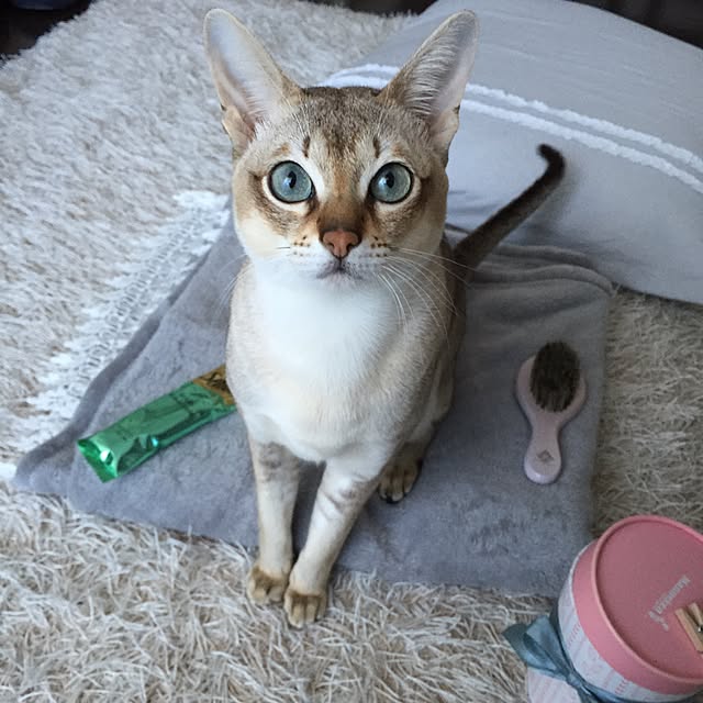 a-mkさんの実例写真