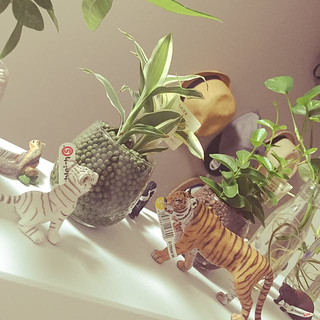 haruさんの実例写真