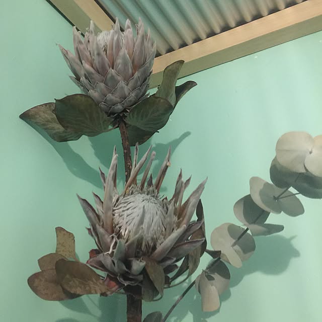 picknyさんの実例写真