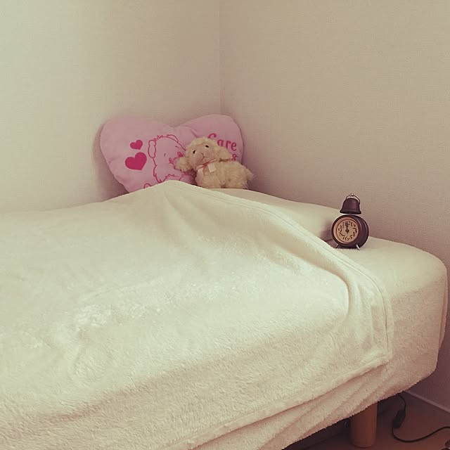 Satokoさんの実例写真