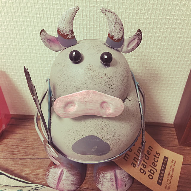 bushiさんの実例写真
