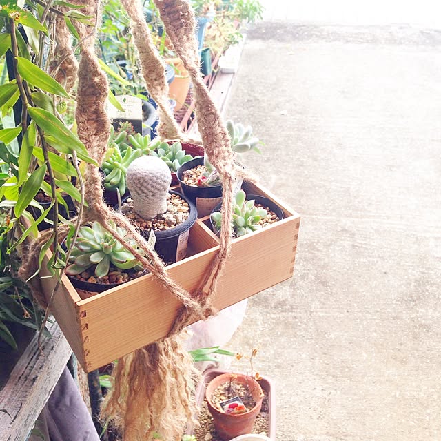 rieco.211さんの実例写真
