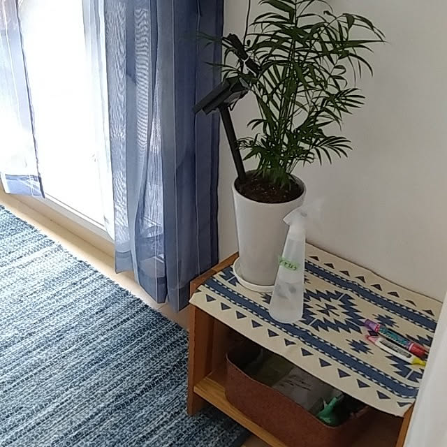 ayaさんの実例写真