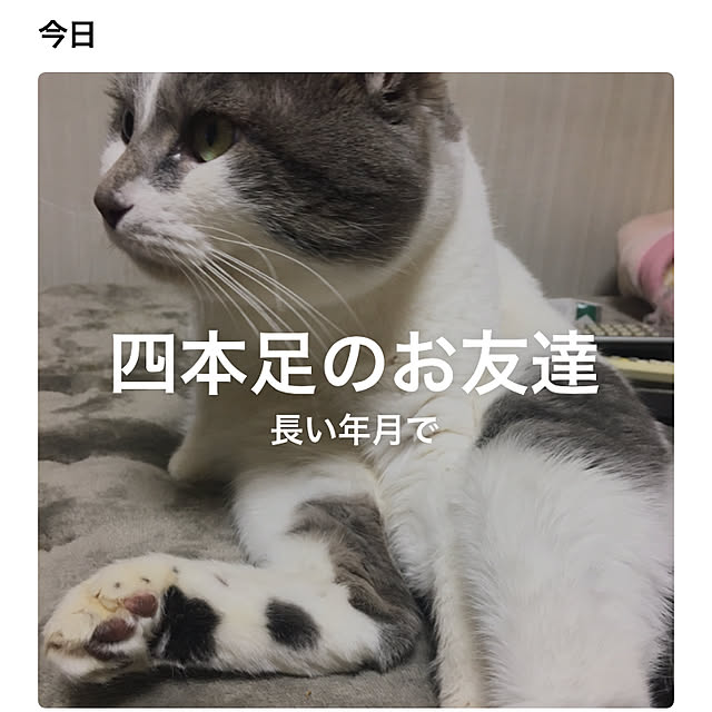 Tomomiさんの実例写真