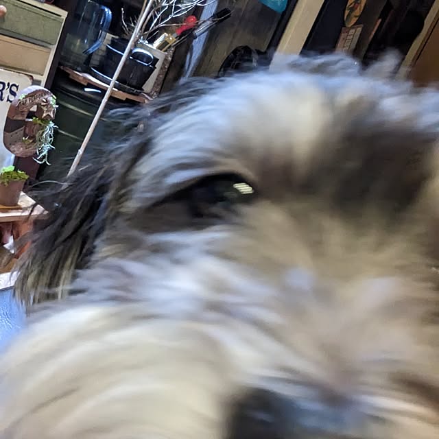 GINさんの部屋