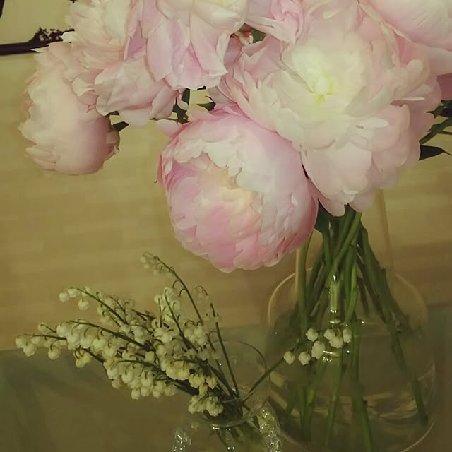 Shihoさんの実例写真