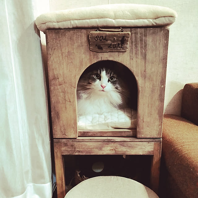 luke.solさんの実例写真