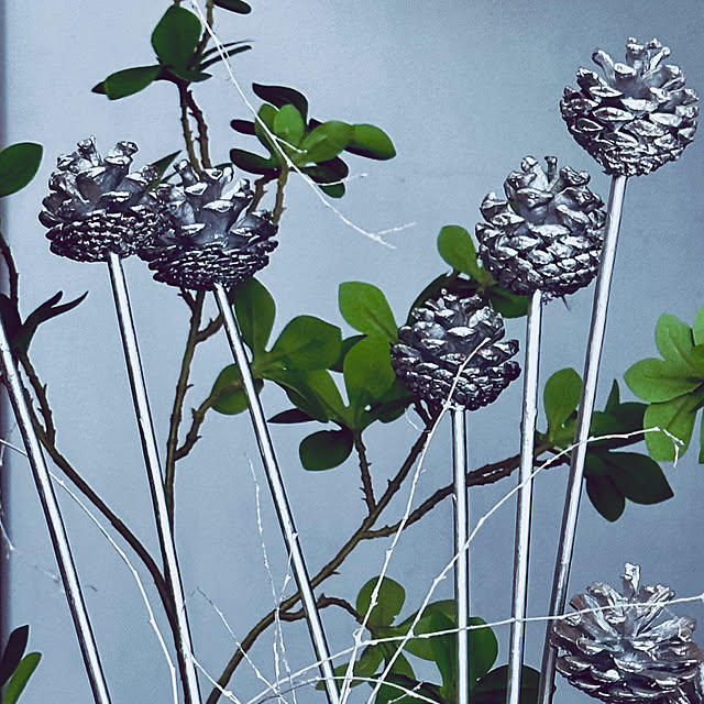 chacoさんの部屋