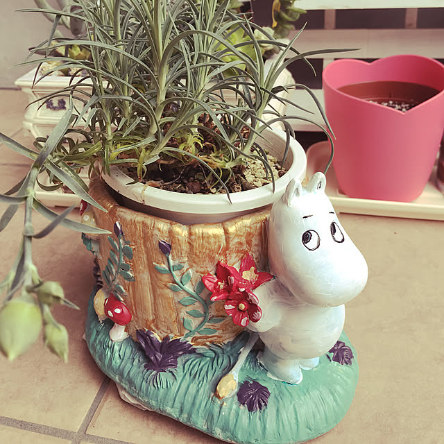 alchoさんの実例写真