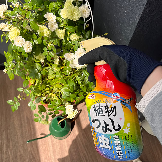 ponme33さんの部屋