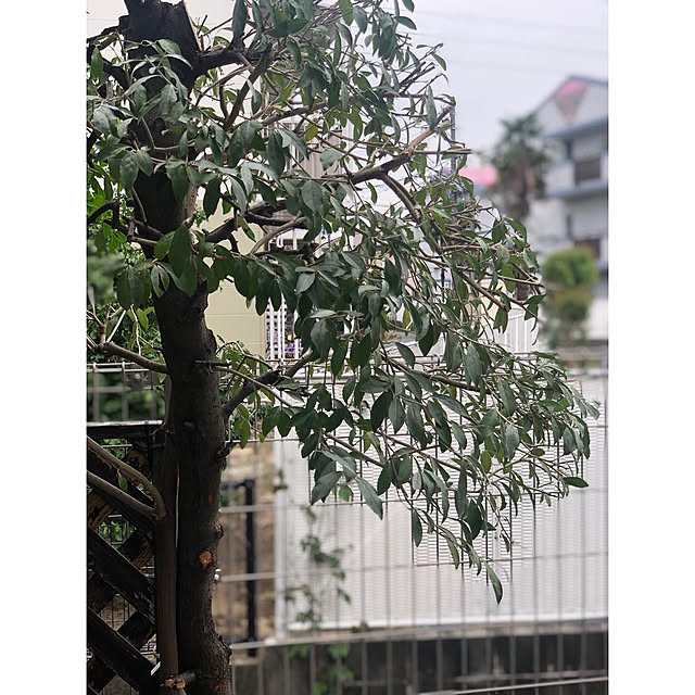 nono.0129さんの実例写真