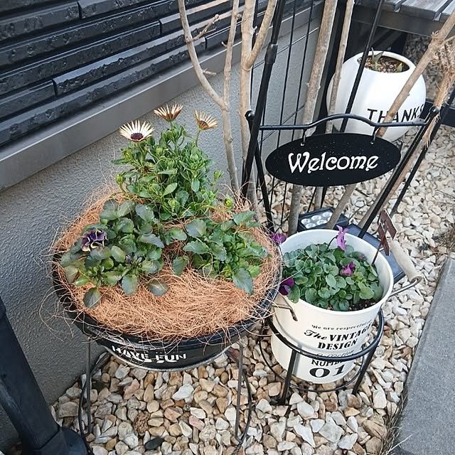 kaanaさんの実例写真