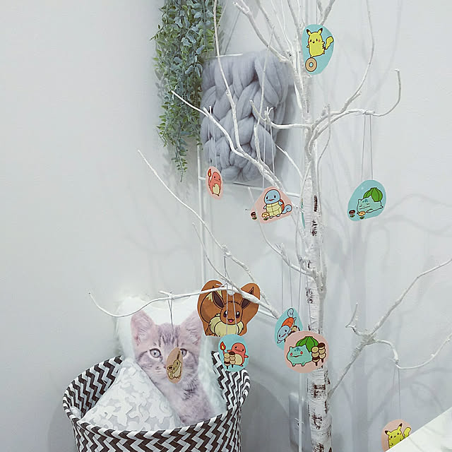 ku-kaiさんの実例写真