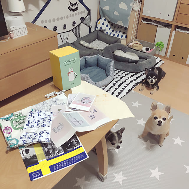 Emiさんの実例写真