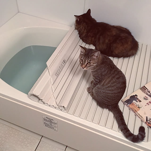 mikomaruさんの実例写真