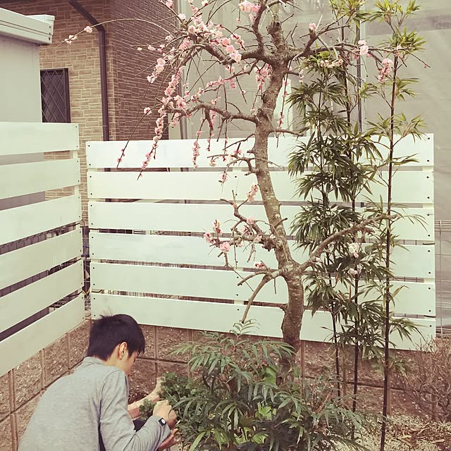 emiri0403さんの実例写真