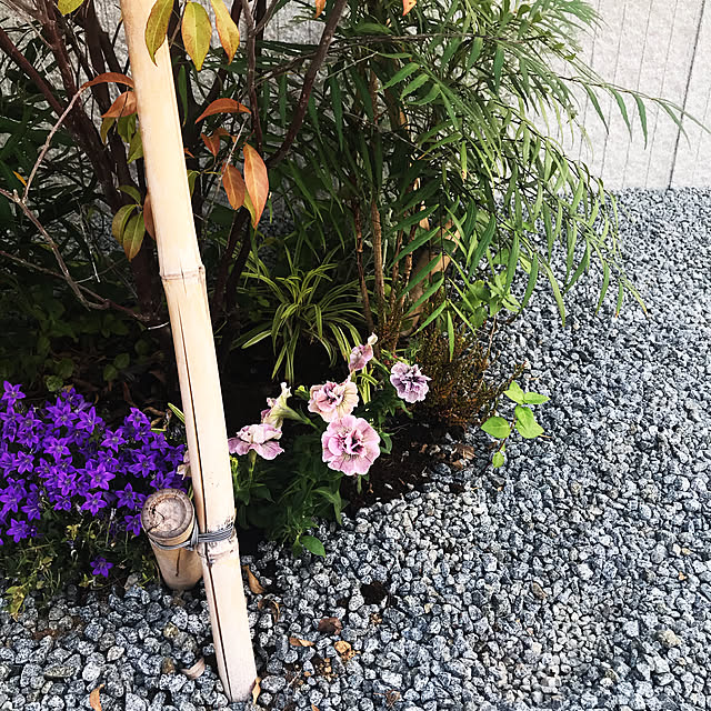 LoveMさんの実例写真