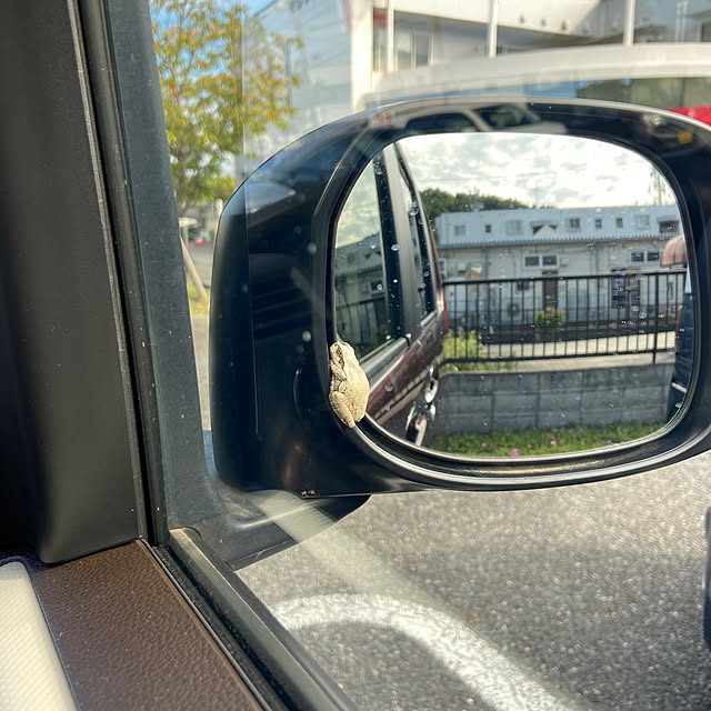hansho.sさんの実例写真