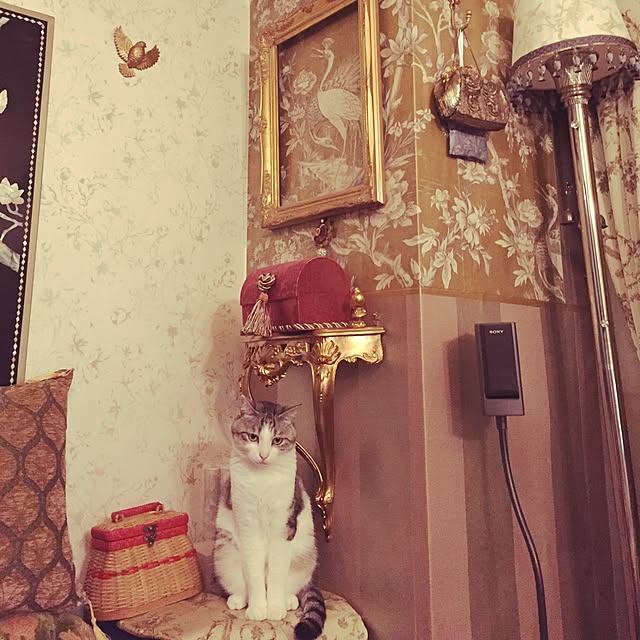 emmyyさんの実例写真