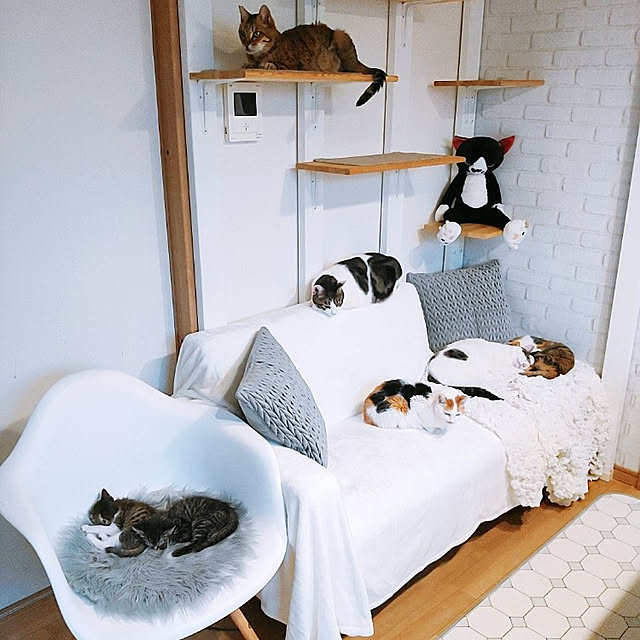 kirakirahikaruさんの実例写真